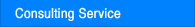 Consulting Service